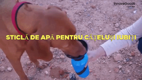 mariaandrei giphygifmaker sticlă de apă pentru cătelusi GIF