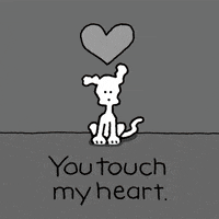 I Love You Dogs GIF by Chippy the Dog
