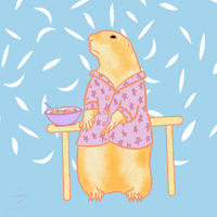 Prairie Dog Reaction GIF by Hacklock