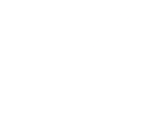 Party Festival Sticker by Studio Wilma