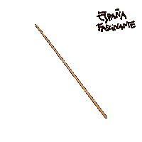 Pinchito Food Sticker by España Fascinante