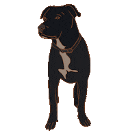 Dog Sticker