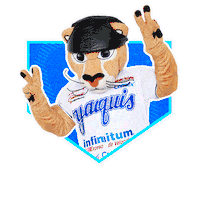 obregon Sticker by Yaquis de Obregón