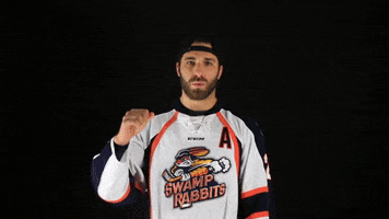 hockey fist bump GIF by Greenville Swamp Rabbits