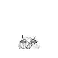 TouristInfoUebersee cow bio bayern farmer Sticker