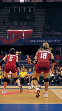 Sport Smash GIF by Volleyball World