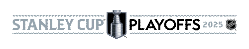 Happy Ice Hockey Sticker by NHL