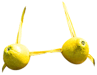 Beer Hamburg Sticker by ASTRA