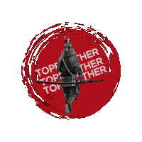 Bjj Samurai Sticker by TopBrother