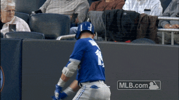 Stretching Blue Jays GIF by MLB