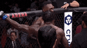 Mixed Martial Arts Sport GIF by UFC