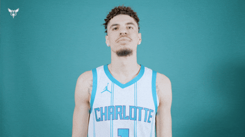 Hive Mentality Lamelo Ball GIF by Charlotte Hornets