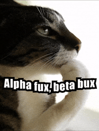 Cat Sigma GIF