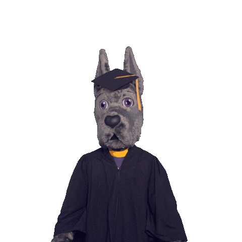 Graduation Celebrating Sticker by UAlbany