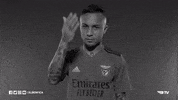 Come Sl Benfica GIF by Sport Lisboa e Benfica