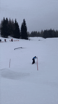 Backflip GIF by bonebinding