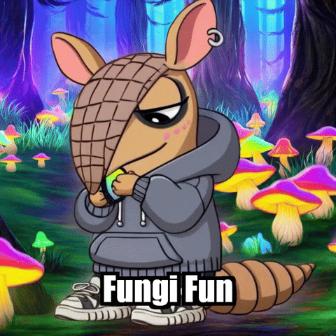 Forest Mushrooms GIF by Chillo Dillo