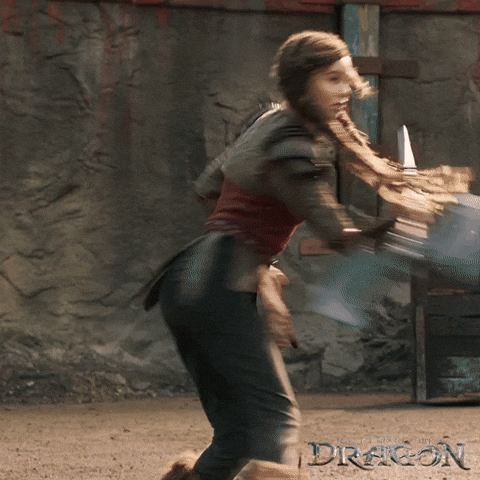 Dragons Nico GIF by How To Train Your Dragon