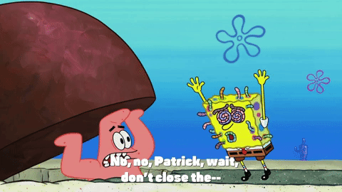 season 10 episode 3 GIF by SpongeBob SquarePants