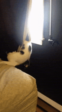 madmoizelledotcom  GIF