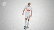 Football Sport GIF by FC Red Bull Salzburg