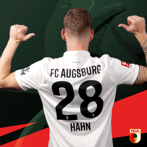 Football Bundesliga GIF by FC Augsburg 1907