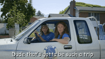 That's Gotta Be Such A Trip