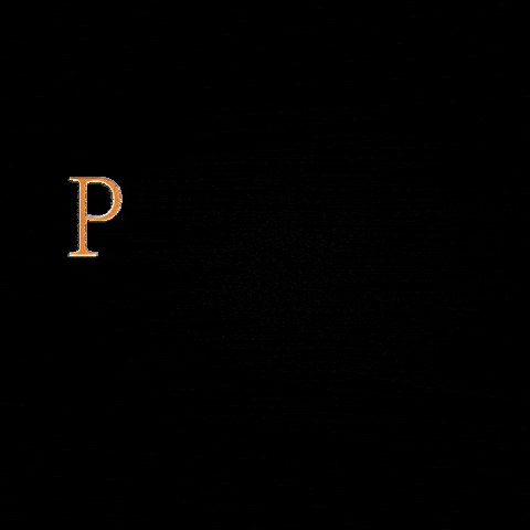 GIF by Public Office