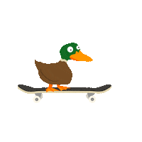 liamnorbury loop flying skate duck Sticker