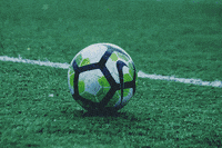 Betmaster  GIF