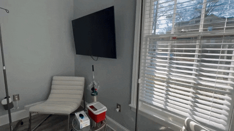 gvierra giphygifmaker GIF