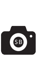 fashion camera Sticker by Something Borrowed