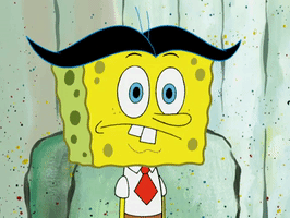 season 5 episode 20 GIF by SpongeBob SquarePants