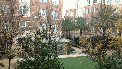 Education Vocabulary GIF by DIIMSA Stock