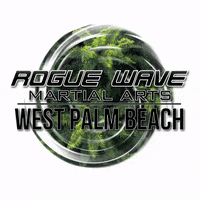 RougeWavePalmBeach roguewave GIF