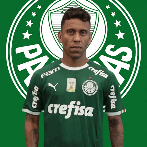 Palmeiras giphyupload soccer futebol clean GIF
