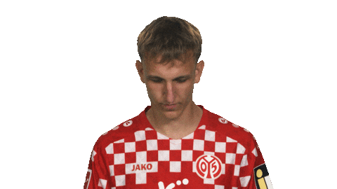 Look Up Mainz 05 Sticker by Bundesliga