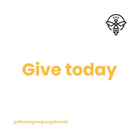 PollinateGroup charity donate womenempowerment pollinategroup GIF