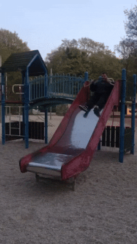 giphy.gif