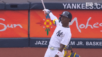 New York Yankees Sport GIF by MLB
