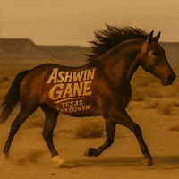 Playboi Carti Texas GIF by Ashwin Gane