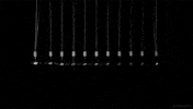newton GIF