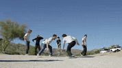 GIF by Skate One
