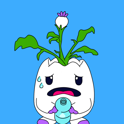 Stay Hydrated Water Bottle GIF by Magic Eden