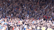 fans celebrate GIF by Rangers Football Club