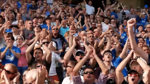 theposhofficial giphygifmaker fans supporters pufc GIF