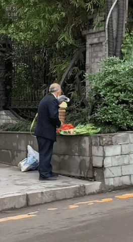 seotor_7 giphyupload GIF