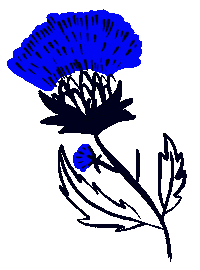 Flower Witch Sticker