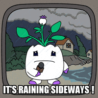 Storming Weather Report GIF by Magic Eden