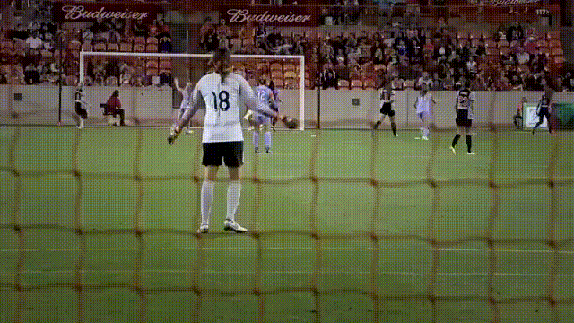 football yes GIF by Houston Dash